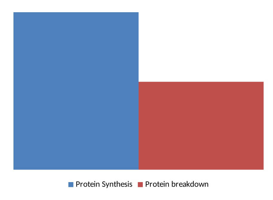 How long after protein shake to eat meal