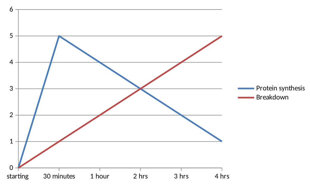 How long after protein shake to eat meal