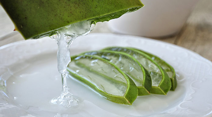 aloe vera