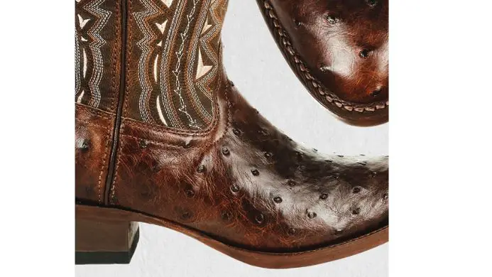 Cowboy Boots 