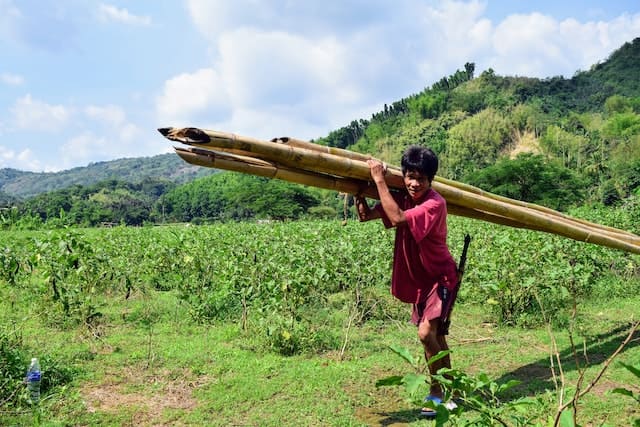 A farmer carrying wooden logs